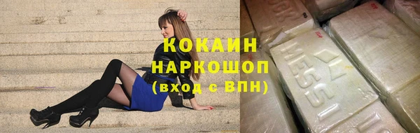ПСИЛОЦИБИНОВЫЕ ГРИБЫ Верея