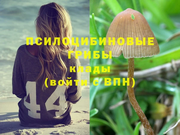 ГАЛЛЮЦИНОГЕННЫЕ ГРИБЫ Верхний Тагил