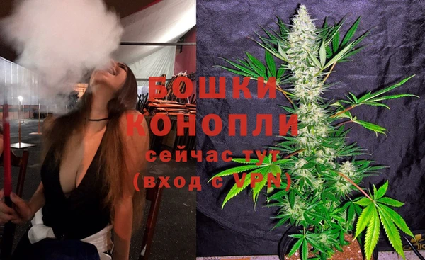 ГАЛЛЮЦИНОГЕННЫЕ ГРИБЫ Волоколамск