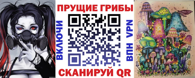 дарнет шоп Новоржев Псилоцибиновые грибы MAGIC MUSHROOMS