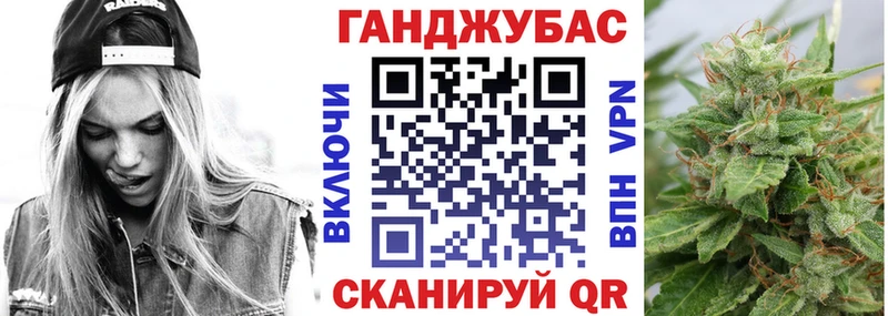 МЕГА как зайти  Новоржев  Каннабис индика 